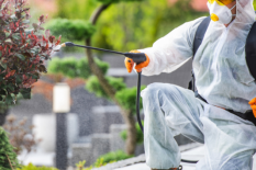 Adsız (140 x 120 piksel) (533 x 533 piksel) (1)