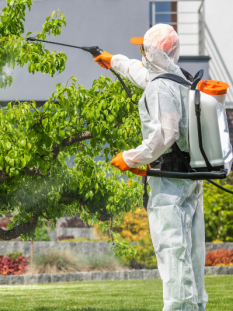 Adsız (140 x 120 piksel) (533 x 533 piksel) (2)