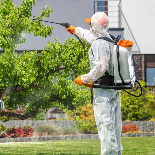 Adsız (140 x 120 piksel) (533 x 533 piksel) (2)