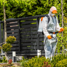 Adsız (140 x 120 piksel) (533 x 533 piksel)